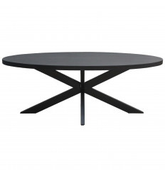 UZES-Table à manger ovale 10/12 personnes L240,Spider et Manguier noir